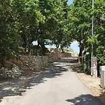 Pag Bosana